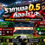 ราคาบอล 0.5 คืออะไร