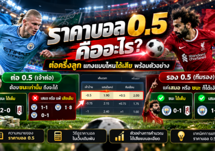 ราคาบอล 0.5 คืออะไร