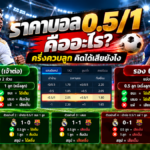 ราคาบอล 0.51 คืออะไร