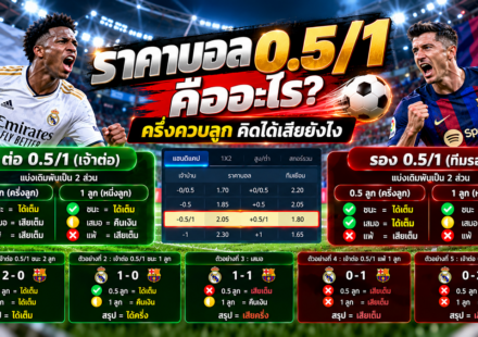 ราคาบอล 0.51 คืออะไร