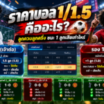 ราคาบอล 11.5 คืออะไร